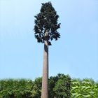 10m 가장된 생체 공학 나무 카무플라주 휴대폰 기지국