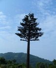 장기 보존할 수 있도록 처리한 50m 카무플라주 셀-폰 타워 나무