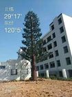 장기 보존할 수 있도록 처리한 50m 카무플라주 셀-폰 타워 나무