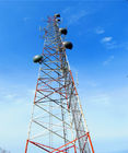 30 미터 GSM 안테나 가짜 야자나무 셀-폰 타워