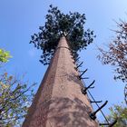 야외인 것을 위한 30m/S 코코넛 나무 카모플라주 휴대폰 기지국